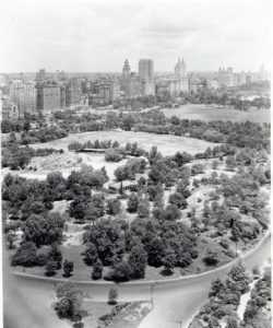Central Park a principios del siglo XX. Imagen procedente de New York Public Library. 