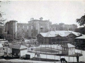 Central Park Menagerie en 1890. Imagen procedente de New York Public Library. 